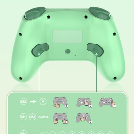Wireless RGB Bluetooth Game Controller for PS4,Nintendo Switch, OLED, Lite, Steam Deck, PC, Android & iOS